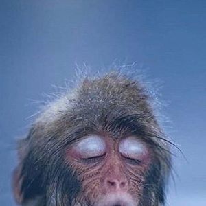 Meet your Posher, Hill